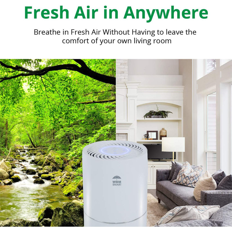 Room air purifier for allergies 2025